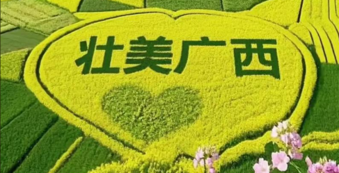 /uploads/image/2026/04/15/47c85a215bd2e597a4b6968de3585101.png /uploads/image/2026/04/15/47c85a215bd2e597a4b6968de3585101.png